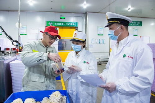 海關助力惠州金針菇開拓國際市場