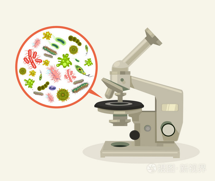 顯微鏡下的微生物 矢量平面卡通插畫(huà)中的生物世界