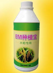 廣州以諾生物科技推出‘em種植寶’水稻專用產品，助力綠色農業發展
